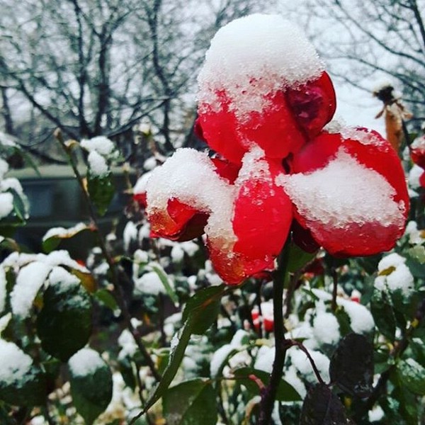 Первый снег в Анапе 2016