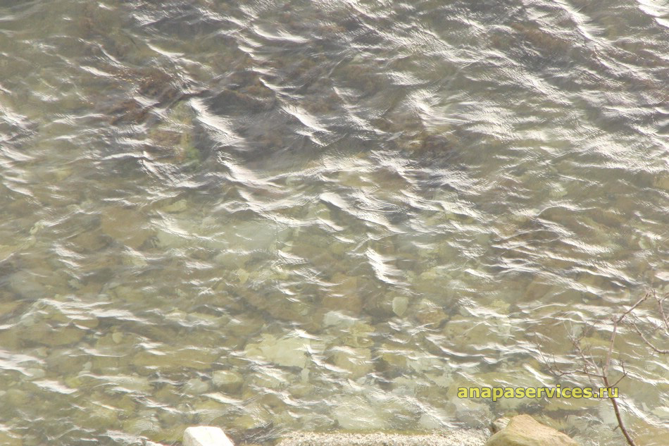 Прозрачная вода в Анапе