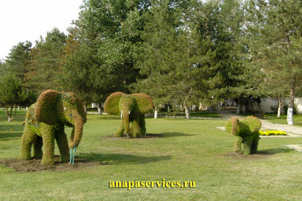 «Зеленые» слоны у начала Пионерского проспекта
